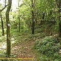 P1040568.jpg