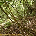 P1040571.jpg