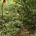 P1040573.jpg