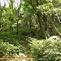 P1040574.jpg