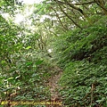 P1040578.jpg
