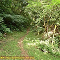 P1040579-1.jpg