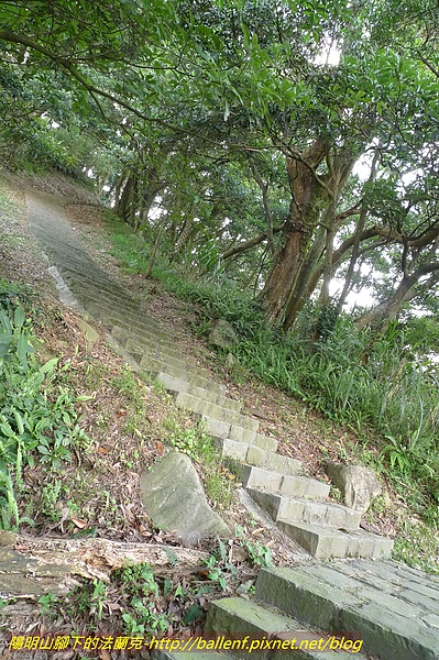 P1040720.jpg