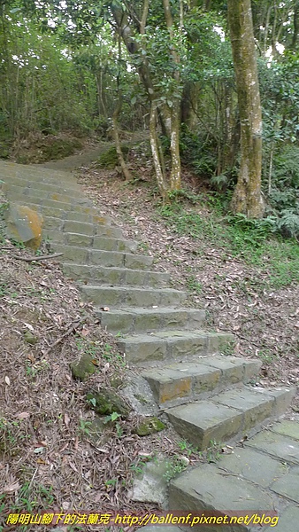 P1040722.jpg