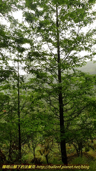 P1050047.jpg