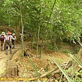 P1050256.jpg