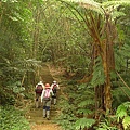 P1050261.jpg