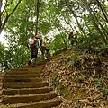 P1050262.jpg
