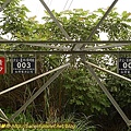 P1050264.jpg