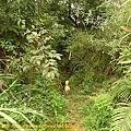 P1050265.jpg