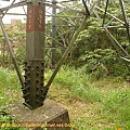P1050266.jpg