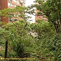 P1050268.jpg