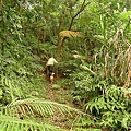 P1050272.jpg