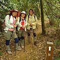 P1050284.jpg