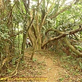 P1050285.jpg