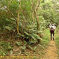 P1050287.jpg