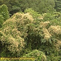 P1050291.jpg