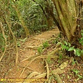 P1050294.jpg