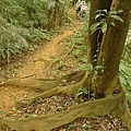 P1050295.jpg