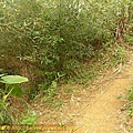 P1050307.jpg