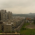 P1050310.jpg