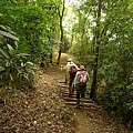 P1050317.jpg