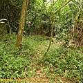P1050323.jpg