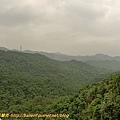 P1050330.jpg