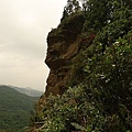 P1050333.jpg