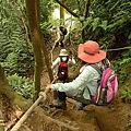 P1050335.jpg