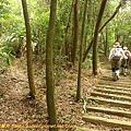P1050336.jpg