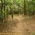 P1050338.jpg