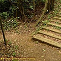 P1050340.jpg