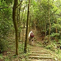 P1050344.jpg