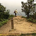 P1050346.jpg