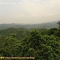 P1050350.jpg