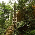 P1050353.jpg