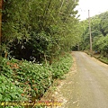 P1050514.jpg