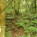 P1050516.jpg