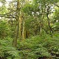 P1050517.jpg