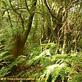 P1050520.jpg