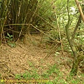 P1050522.jpg