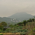 P1050534.jpg