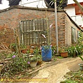 P1050535.jpg