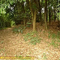 P1050541.jpg