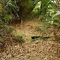 P1050543.jpg