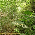 P1050544.jpg