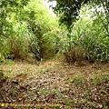 P1050546.jpg