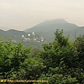P1050554.jpg