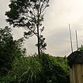 P1050555.jpg